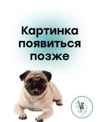 Пеленки дезодорирующие для кошачьего туалета 1 уп (12 шт)